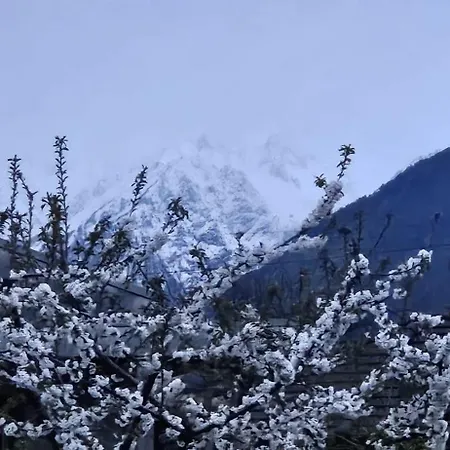 Votre Pause Detente Commence Ici - Aux Mimosas Apartment