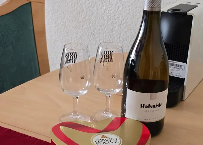 Apartment Votre Pause Detente Commence Ici - Aux Mimosas Saillon