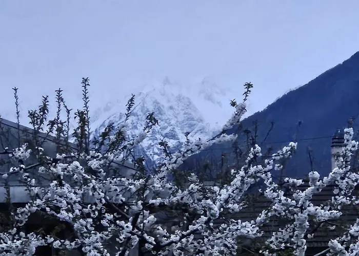 Votre Pause Detente Commence Ici - Aux Mimosas Appartement