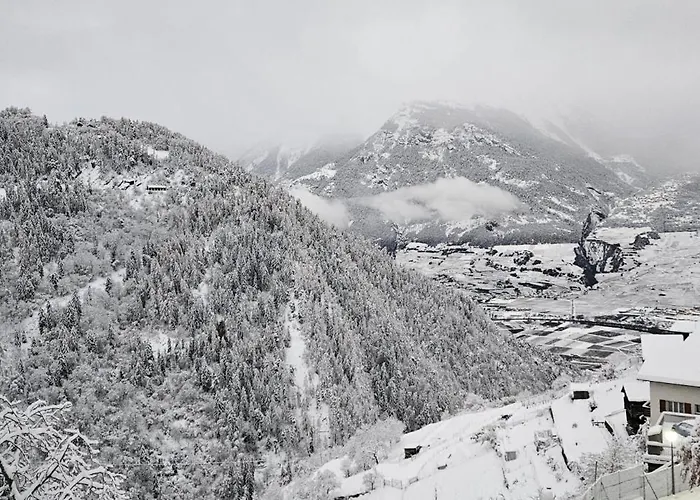 Appartement Votre Pause Detente Commence Ici - Aux Mimosas *